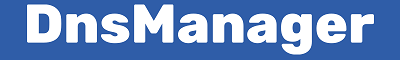 DnsManager